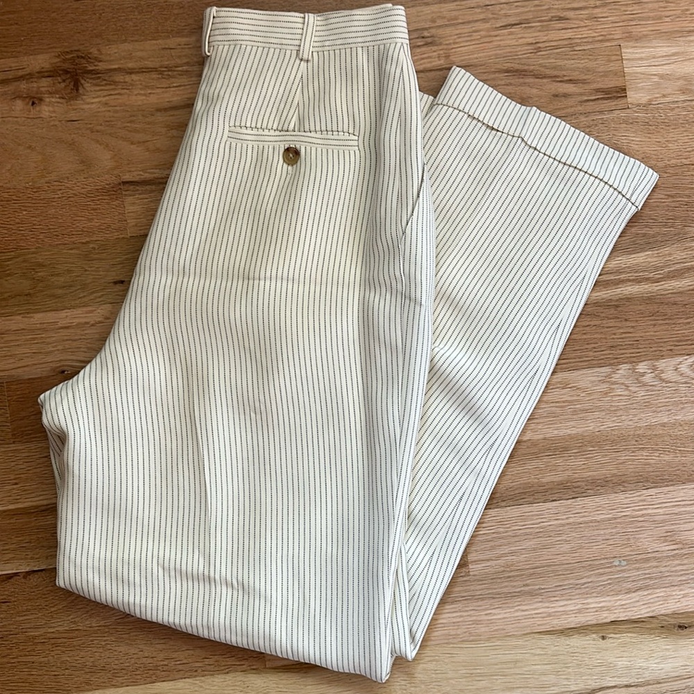 Silk pinstriped pants